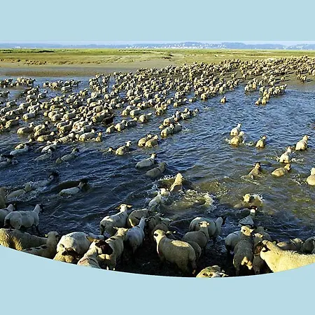 La Ferme Du Parc Couette-café 3*