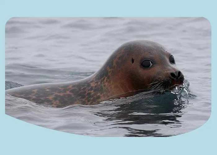 La Ferme Du Parc Bed & Breakfast Pende