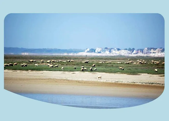 Bed & Breakfast La Ferme Du Parc 3*