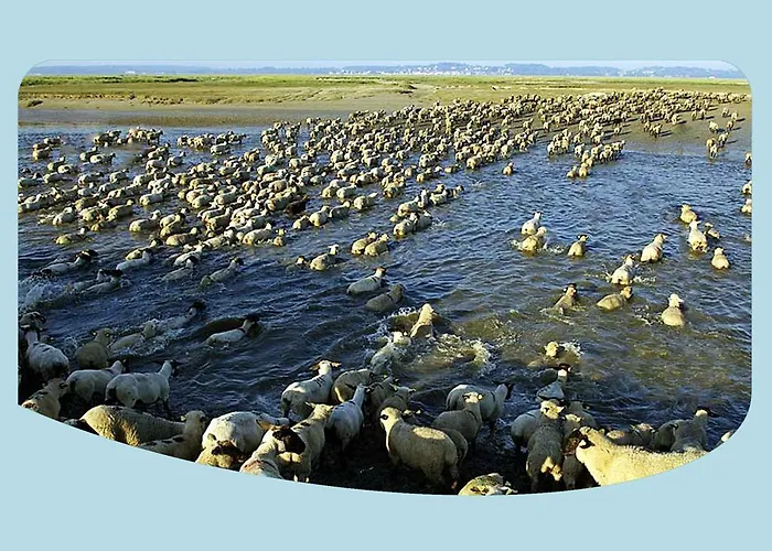 La Ferme Du Parc Bed & Breakfast 3*